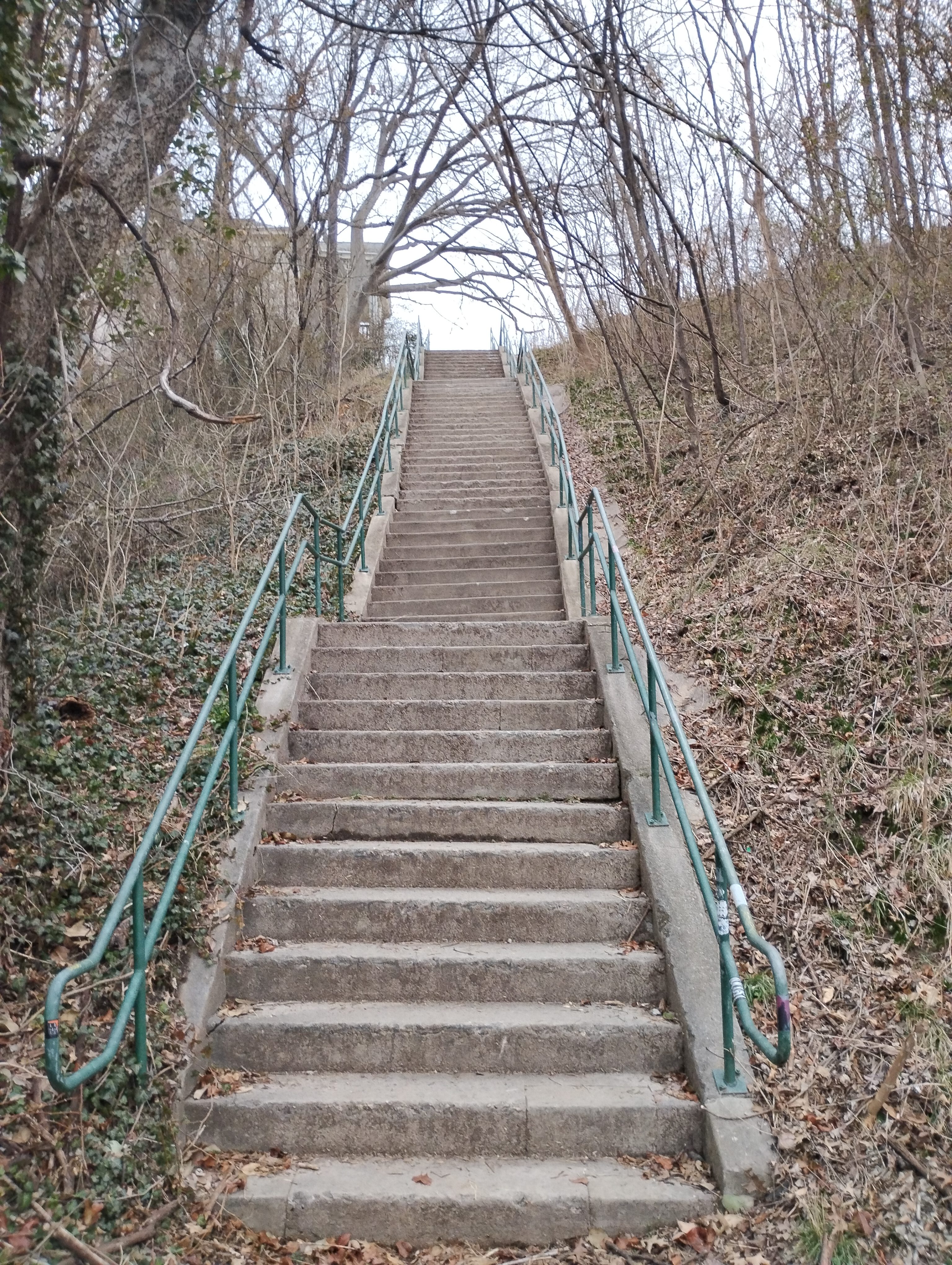 Stairs, Sweat, and Sacred Grit: Why I Train Outside Instead of Joining a Gym